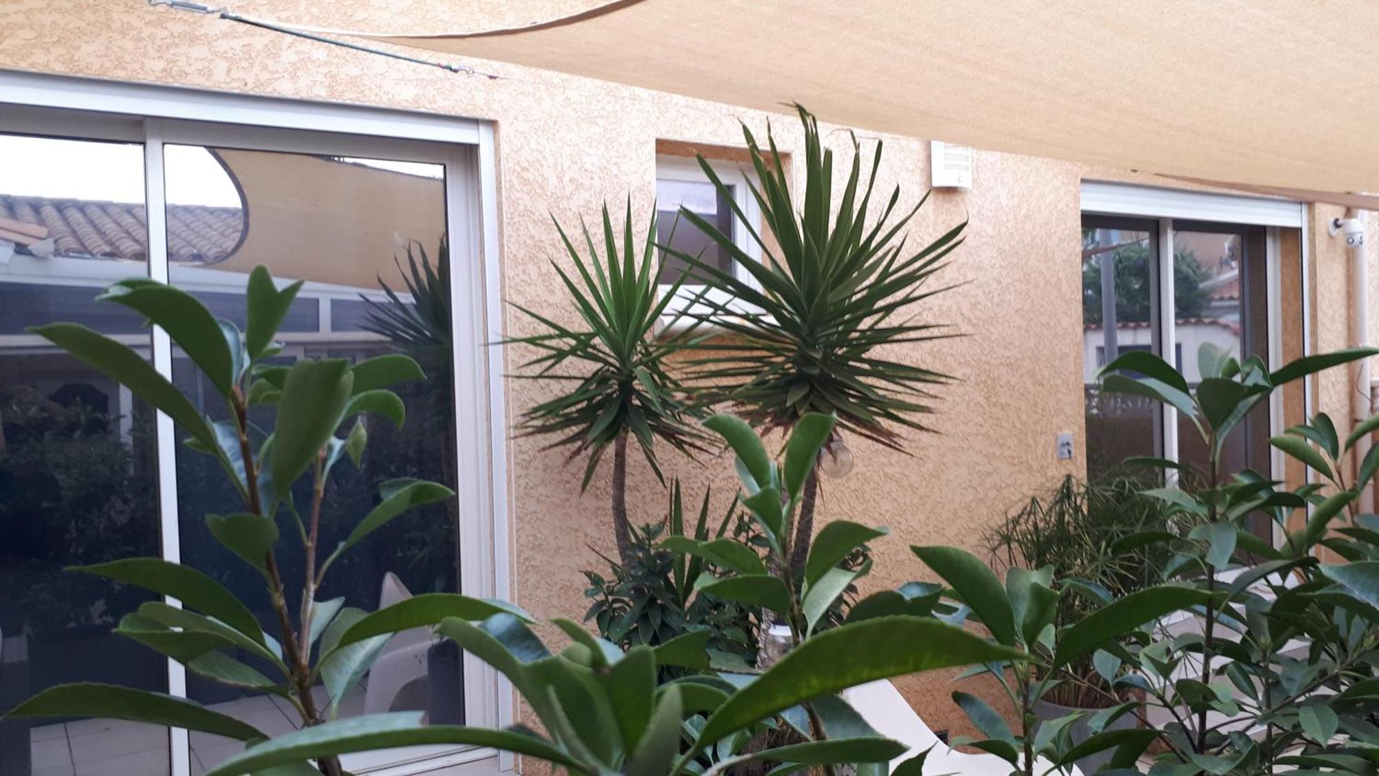 La Casa Tranquilia Chez Vero Et Jj Studio A Marseillan Екстериор снимка